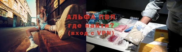 не бодяженный Гусев