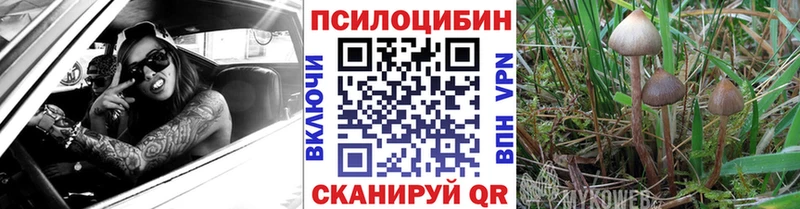 Псилоцибиновые грибы ЛСД  МЕГА ССЫЛКА  Туринск 