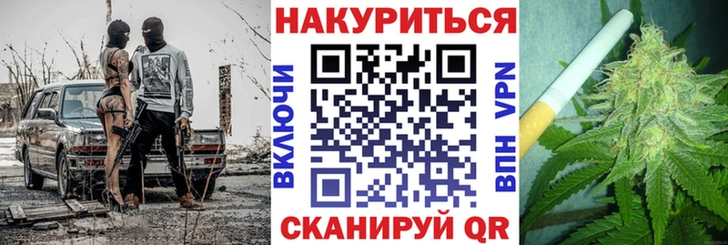 где купить наркоту  Туринск  Конопля сатива 